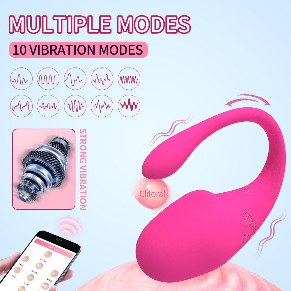 App- controlled vibrator