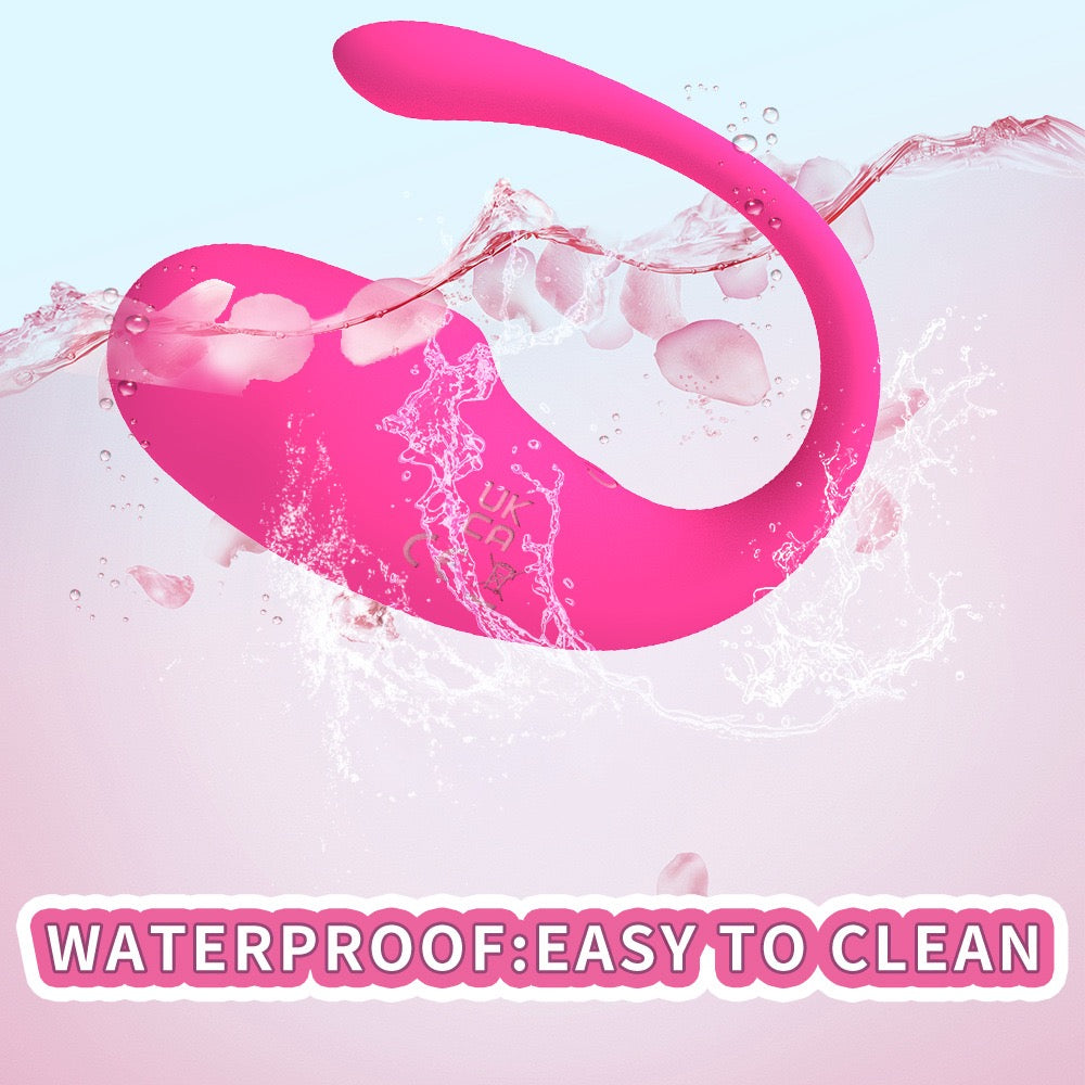 App- controlled vibrator