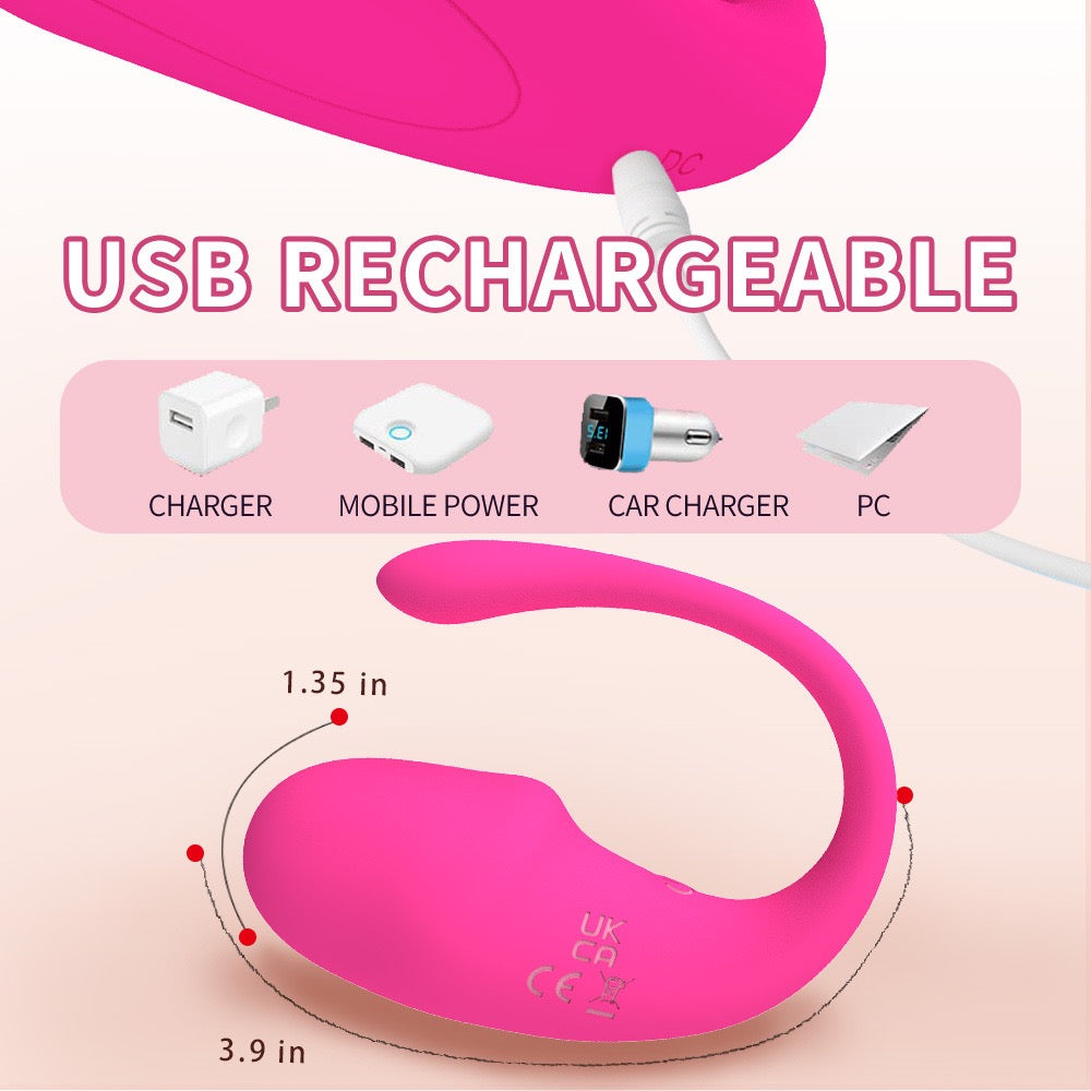 App- controlled vibrator