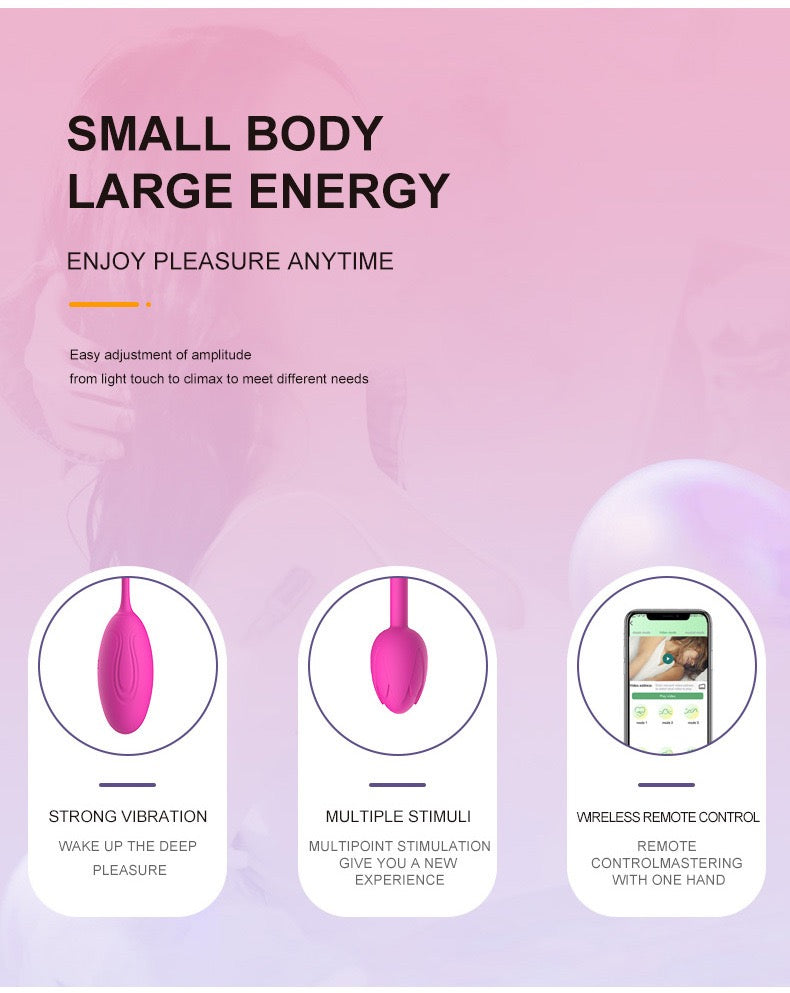 vibrator