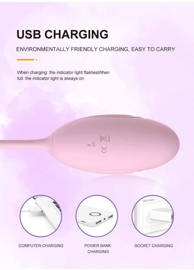 vibrator