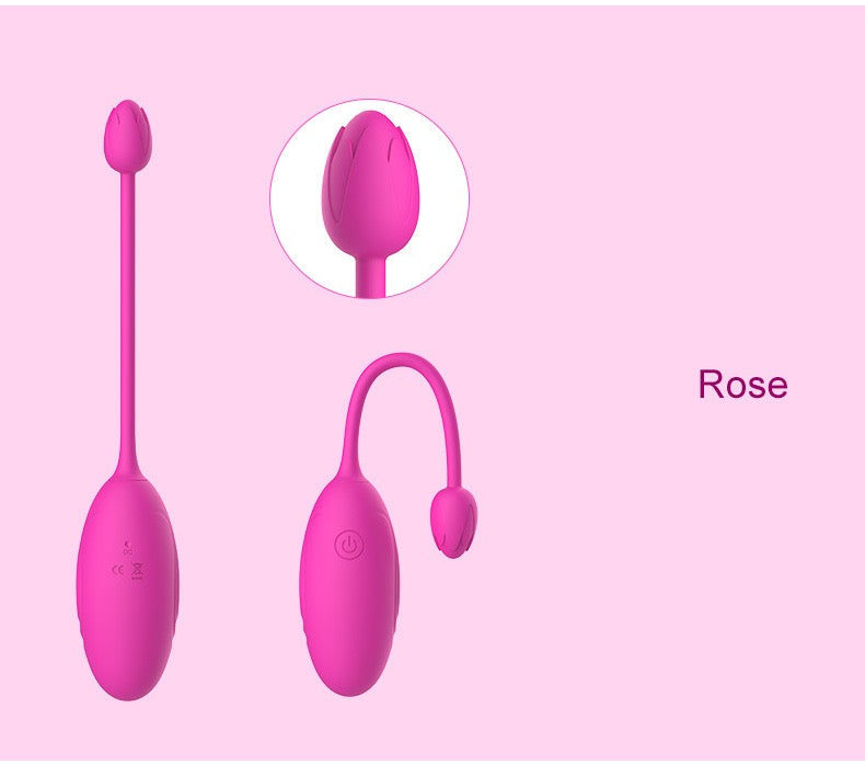 vibrator