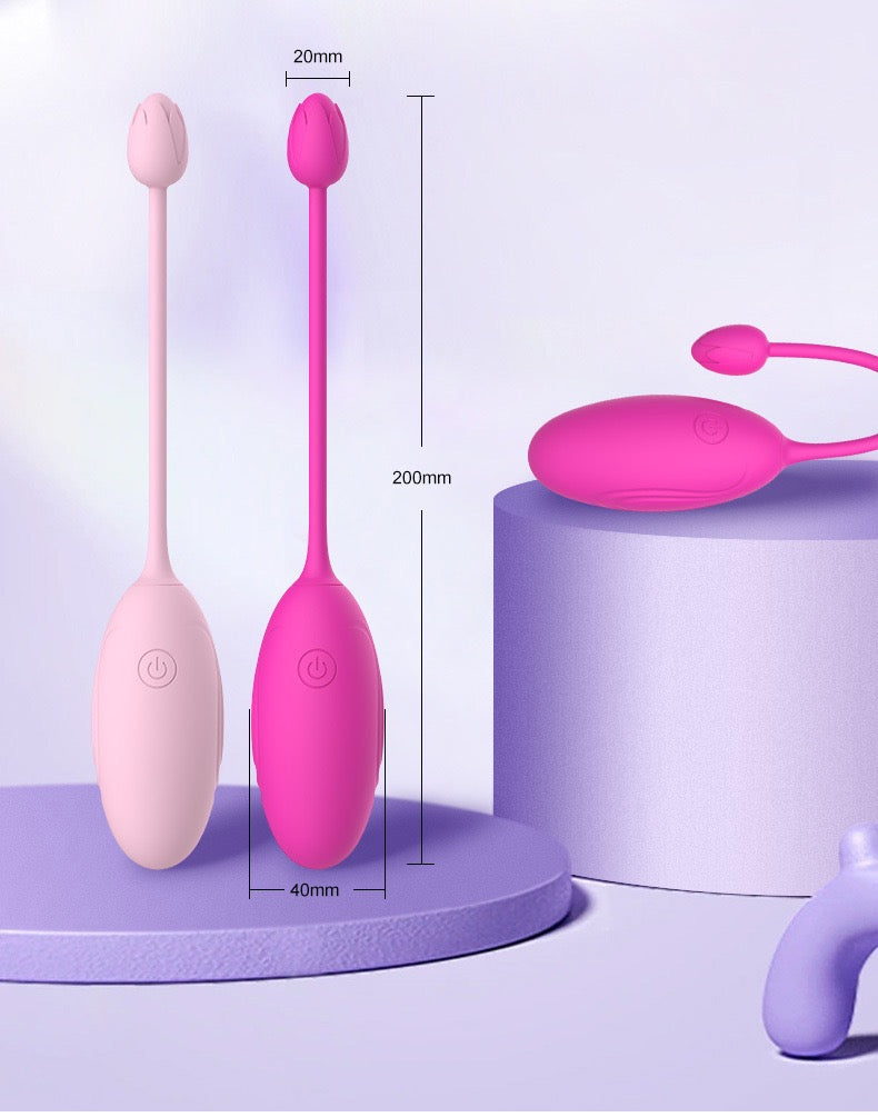 vibrator