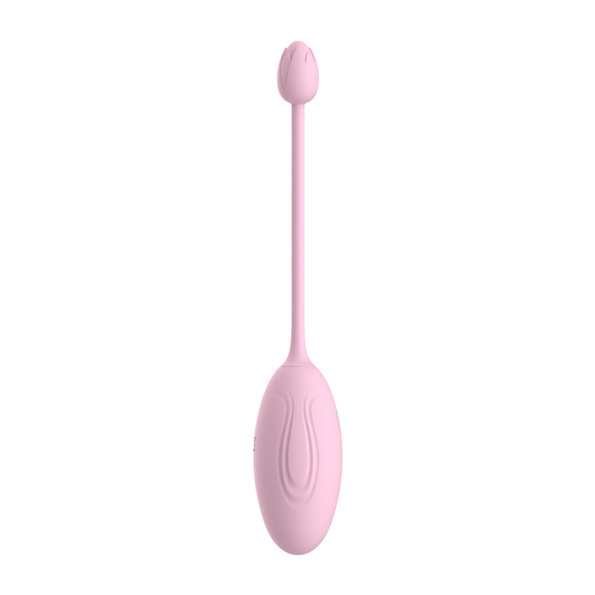 vibrator