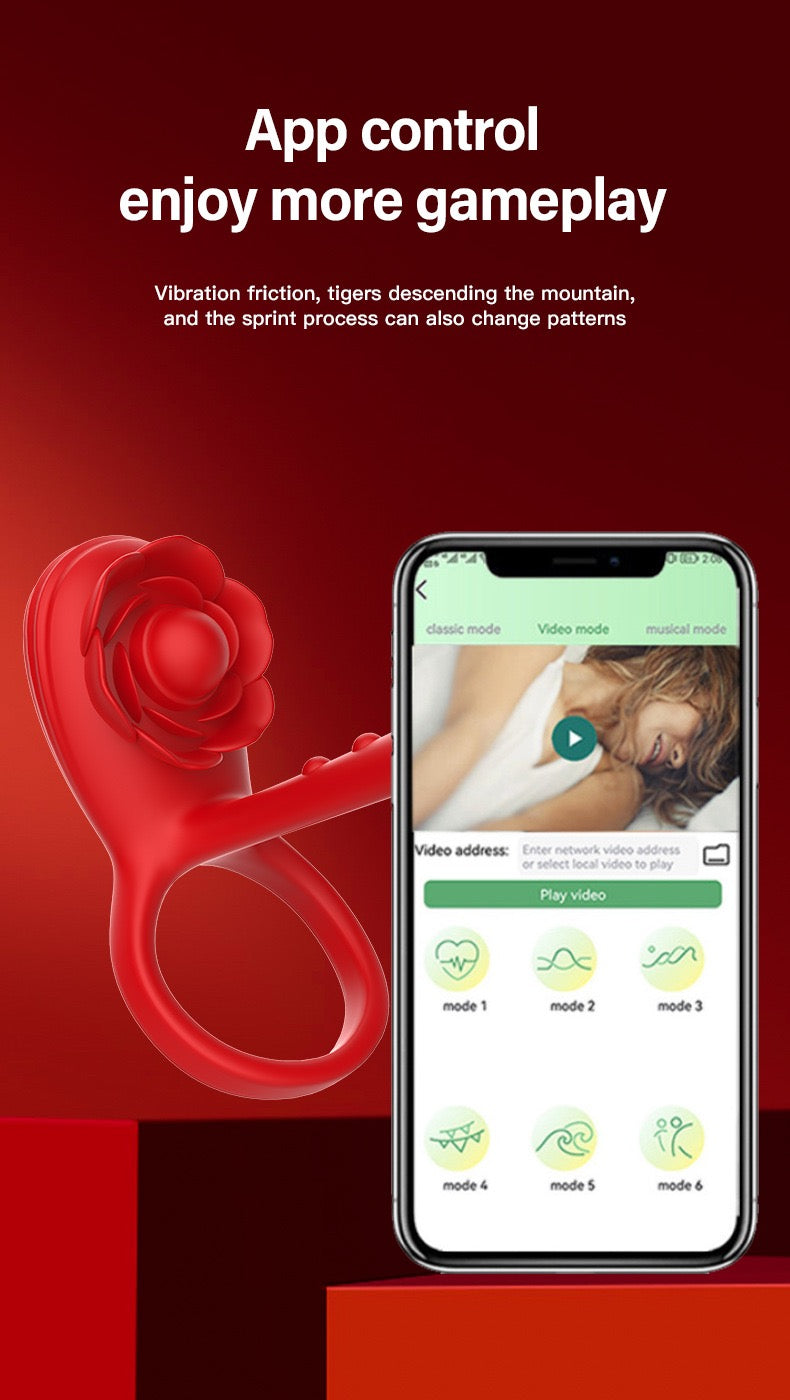 app- controlled penis ring double lock